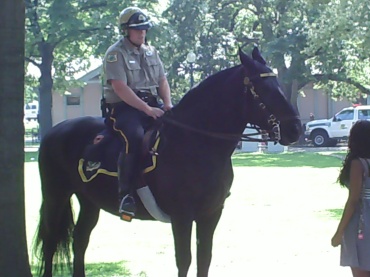 Police on horseback Boston Pubic Garden